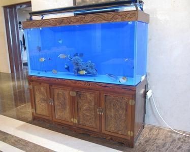 選擇觀賞魚(yú)缸加盟品牌和水族器材加盟品牌需要考慮的因素：如何選擇觀賞魚(yú)缸加盟品牌