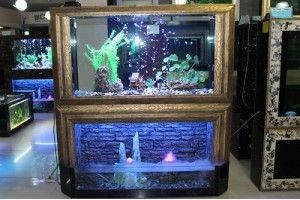 選擇觀賞魚(yú)缸加盟品牌和水族器材加盟品牌需要考慮的因素：如何選擇觀賞魚(yú)缸加盟品牌