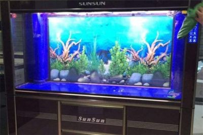 選擇觀賞魚(yú)缸加盟品牌和水族器材加盟品牌需要考慮的因素：如何選擇觀賞魚(yú)缸加盟品牌