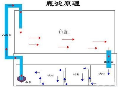 底濾魚缸換水泵連接管選擇指南：底濾魚缸換水泵連接管是連接水泵和魚缸的重要部件 底濾魚缸換水泵連接管選擇指南：底濾魚缸換水泵連接管是連接水泵和魚缸的重要部件 魚缸百科 第2張