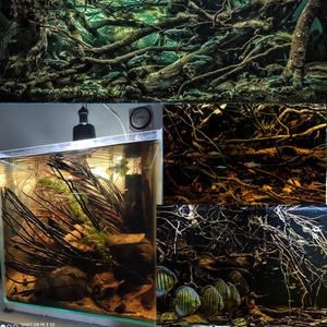 如何聯系金龍魚批發基地？，益海嘉里金龍魚食品集團股份有限公司400-5757服務時間