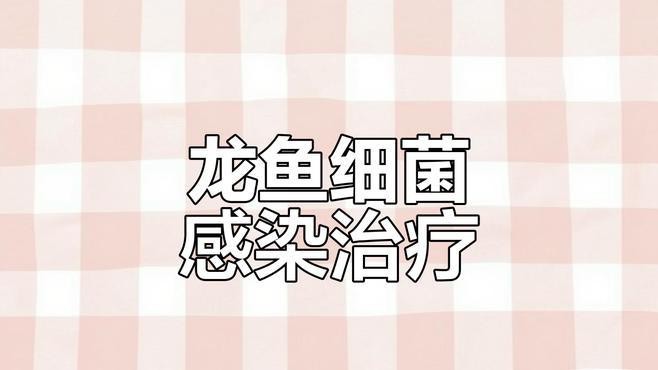 紅龍趴缸需要隔離嗎