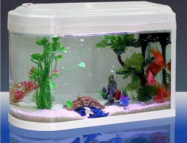 給魚缸換水的注意事項：給魚缸換水的方式和注意事項