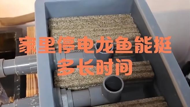 龍魚魚缸停電了怎么辦
