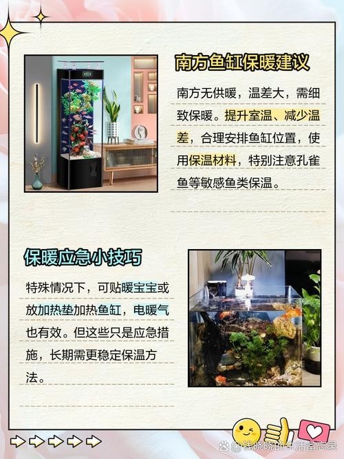 龍魚魚缸停電了怎么辦