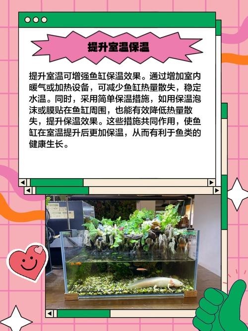 龍魚魚缸停電了怎么辦
