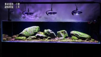 底濾魚缸制作生態魚缸視頻（如何自制底濾魚缸）