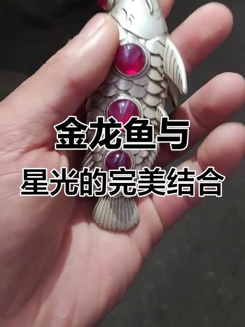 金龍魚活體價格行情走勢