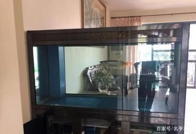 懷柔區內有多家店鋪和市場出售魚缸以下是根據搜索結果整理的信息：北京懷柔區商業街水族箱專賣店