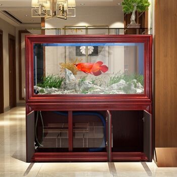 Cyangyang魚缸，cyangyang魚缸的使用技巧