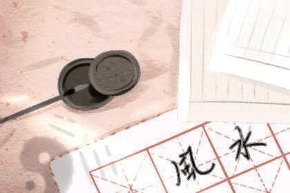 客廳魚缸的最佳擺放位置：如何選擇適合客廳的魚缸