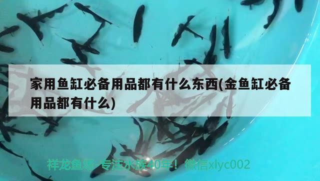 家用魚缸必備用品都有什么東西(金魚缸必備用品都有什么)