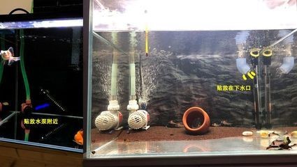 底濾魚缸的氣泡石擺放位置是一個需要考慮多個因素的問題：底濾魚缸氣泡石擺放位置是一個需要考慮多個因素的問題