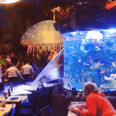 閩江魚缸容易爆缸嗎：如何檢測魚缸玻璃質量