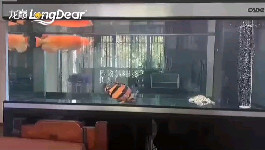 轉(zhuǎn)發(fā)792