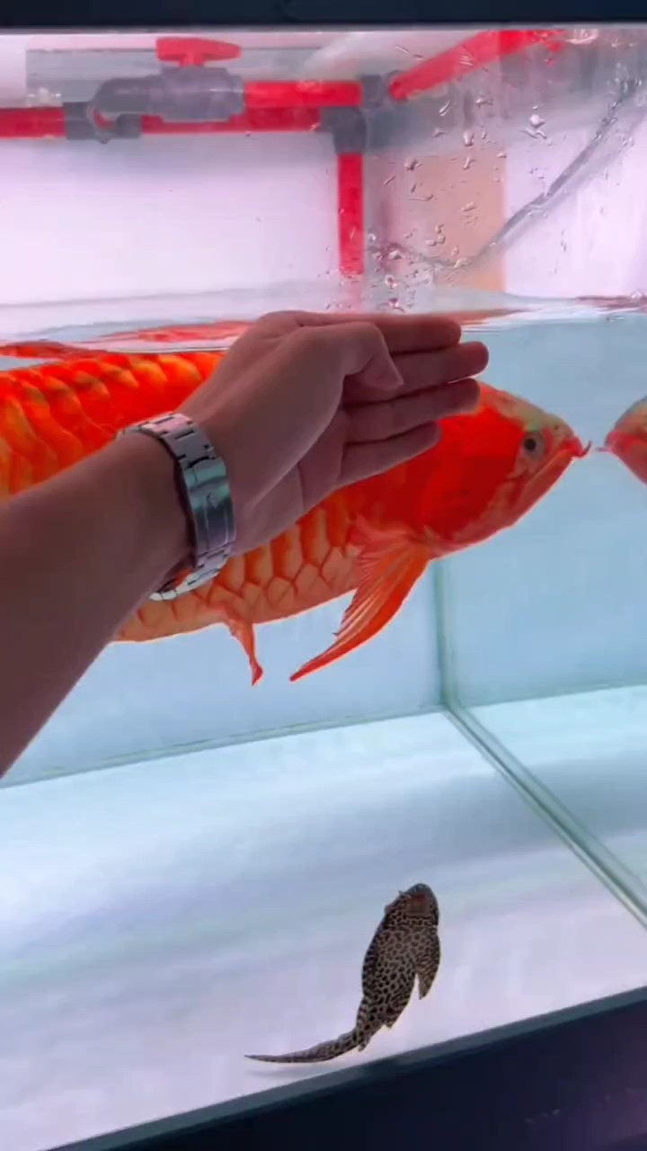 六一快樂??