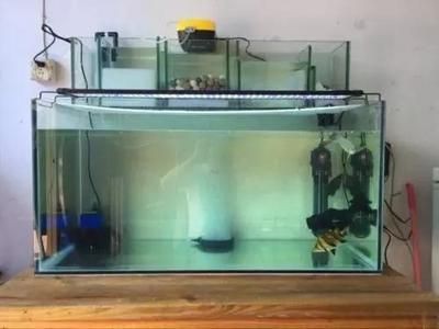 魚缸水泵會轉但抽不上水（魚缸水泵會轉但抽不上水怎么辦）