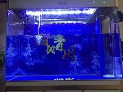 漢霸魚缸怎么樣好用嗎：漢霸魚缸以其高品質的材料制作、簡潔大方的材料制作、簡潔大方 漢霸魚缸怎么樣好用嗎：漢霸魚缸以其高品質的材料制作、簡潔大方的材料制作、簡潔大方 魚缸百科 第4張