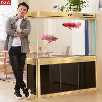 漢霸魚缸怎么樣好用嗎：漢霸魚缸以其高品質的材料制作、簡潔大方的材料制作、簡潔大方 漢霸魚缸怎么樣好用嗎：漢霸魚缸以其高品質的材料制作、簡潔大方的材料制作、簡潔大方 魚缸百科 第3張