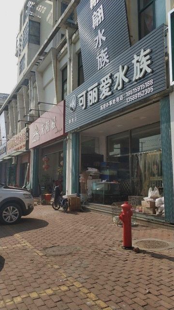 濰坊龍魚(yú)專賣店地址查詢大全