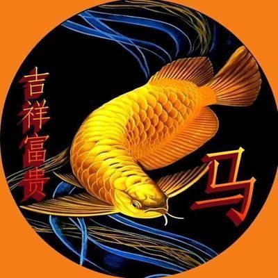 龍魚增艷燈哪個牌子好：龍魚增艷燈哪個牌子好馬印神燈增艷燈品牌推薦