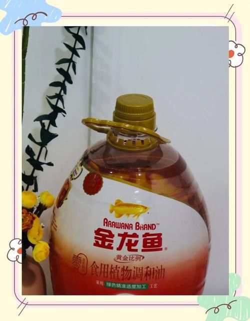 金龍魚安全嗎