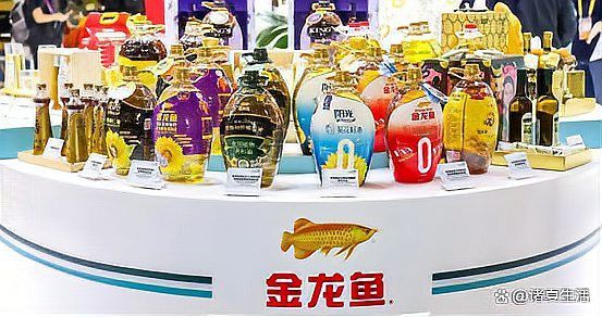 金龍魚安全嗎