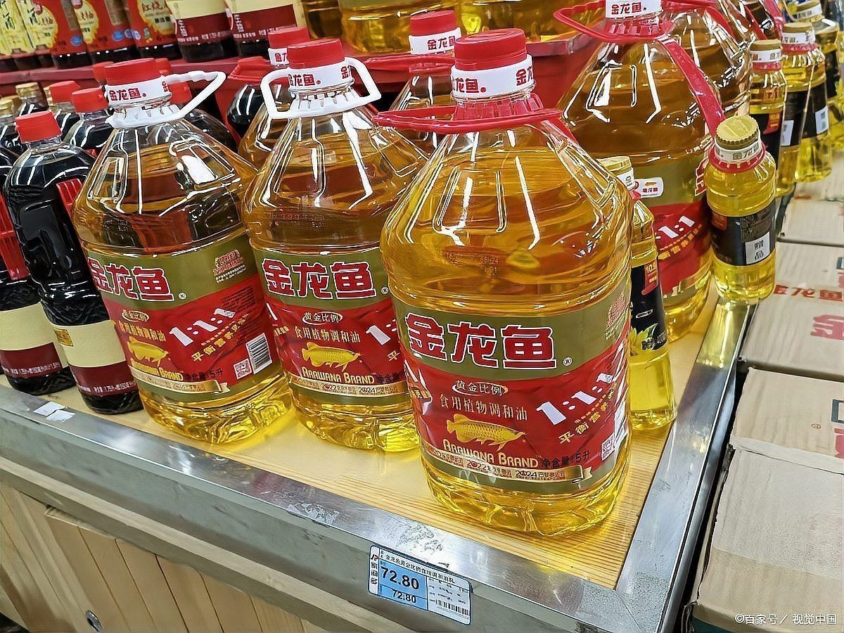 金龍魚安全嗎