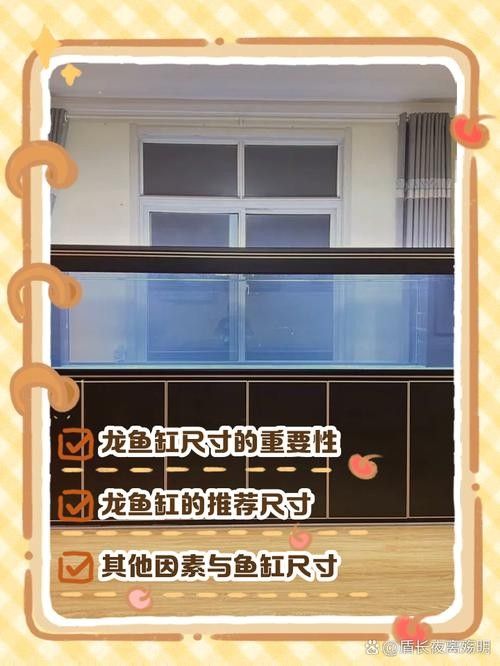 龍魚的養殖方法和注意事項圖片大全