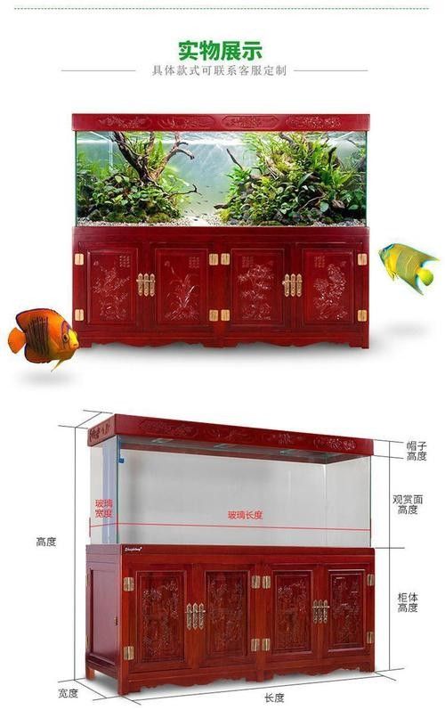 龍魚的養殖方法和注意事項圖片大全