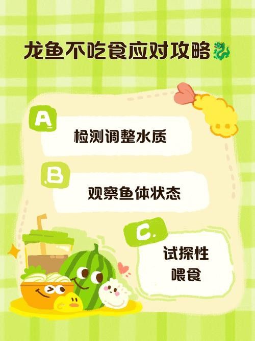 龍魚的養殖方法和注意事項圖片大全