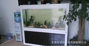 龍魚魚缸廠家電話多少：龍魚魚缸廠家電話查詢方式 龍魚魚缸廠家電話多少：龍魚魚缸廠家電話查詢方式 龍魚百科 第2張