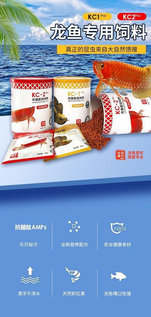 十大紅龍魚品牌排名圖片