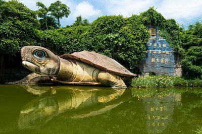 龍魚打包可以帶上高鐵嗎，：攜帶龍魚上高鐵可以帶上高鐵嗎，龍魚打包可以帶上高鐵嗎