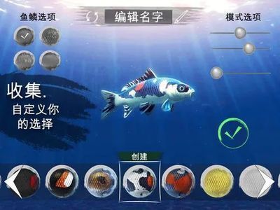 新手龍魚怎么挑選，掌握正確的方法和注意事項，輕松選出健康龍魚：新手怎么挑選龍魚