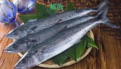 龍魚腹下黑色斑點：龍魚腹下黑色斑點是怎么回事？