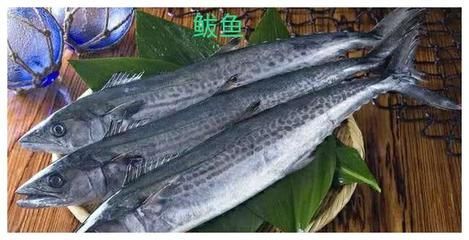 龍魚腹下黑色斑點：龍魚腹下黑色斑點是怎么回事？