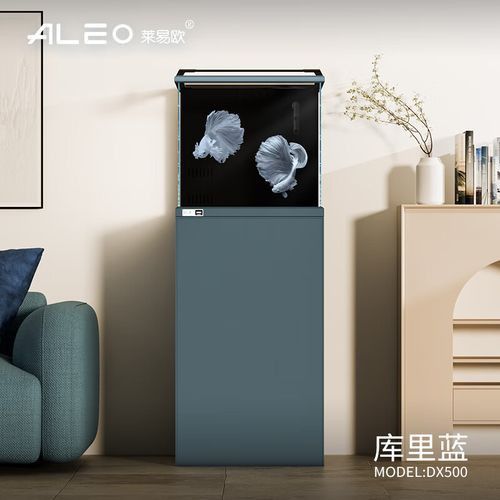 推薦幾款適合藍(lán)底過背金龍的魚缸品牌