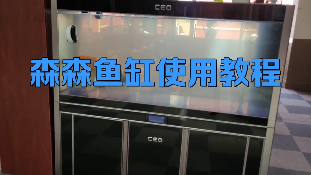 推薦幾款適合藍(lán)底過背金龍的魚缸品牌