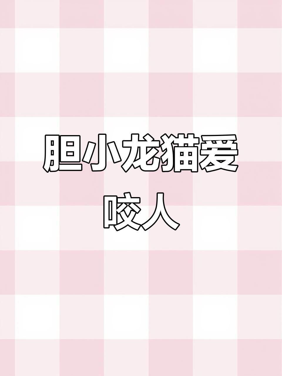如何預防龍貓再次咬人？