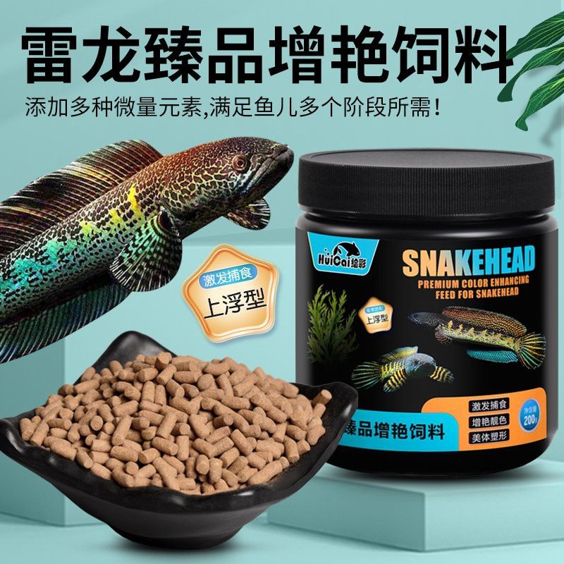 如何促進彩虹雷龍魚的發色？