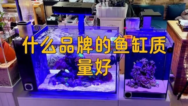 可麗愛(ài)魚(yú)缸是雜牌還是名牌