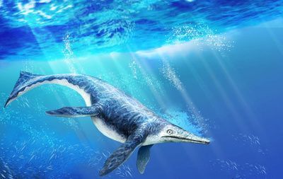 薩斯特魚龍：薩斯特魚龍是一種生活在三疊紀晚期的海洋爬行動物