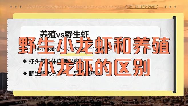 如何區分養殖和野生龍蝦？