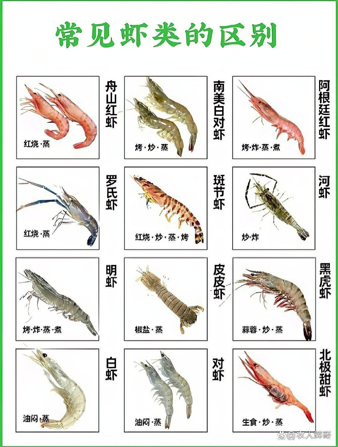 如何區分養殖和野生龍蝦？
