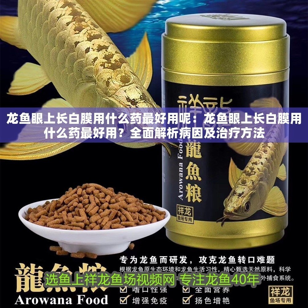 龍魚眼上長白膜用什么藥最好用呢：龍魚眼上長白膜用什么藥最好用？全面解析病因及治療方法
