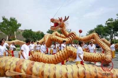 龍魚世界紀錄(世界最長龍舟在吉尼斯世界紀錄中創造了世界紀錄) 龍魚百科 第4張 龍魚世界紀錄(世界最長龍舟在吉尼斯世界紀錄中創造了世界紀錄) 龍魚世界紀錄(世界最長龍舟在吉尼斯世界紀錄中創造了世界紀錄) 龍魚百科 第4張