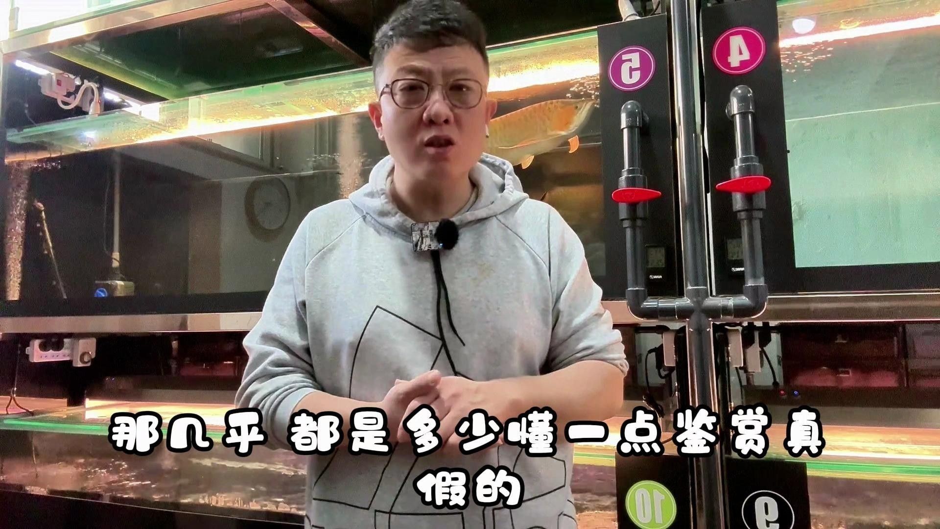 如何判斷紅龍純血是否新鮮？