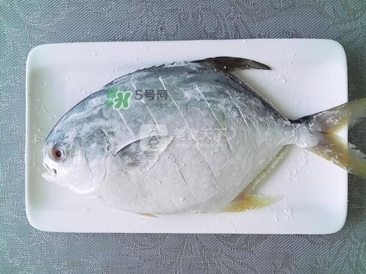 藍色龍魚大概多少錢一條：藍色龍魚價格多少錢一條啊？全面解析藍色龍魚的選購與飼養