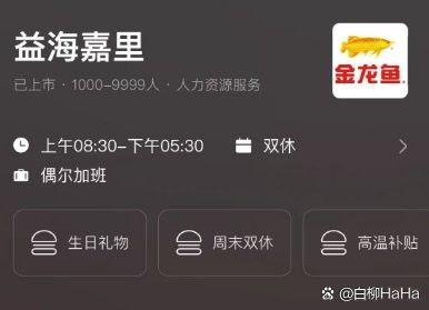 金龍魚銷售崗位哪個方向最有發展？ 金龍魚銷售崗位哪個方向最有發展？ 龍魚百科 第3張